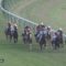 【競馬】ブラストワンピースの新馬戦は超ハイレベルだったｗｗｗｗｗ