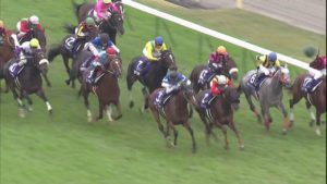 【競馬】カンパニーって馬のレース見てたんだけど