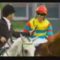 【競馬】武豊の英語力ｗｗｗｗｗｗｗｗｗｗｗｗ