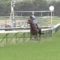 【競馬】オルフェーヴルの阪神大賞典の再現をできそうな馬