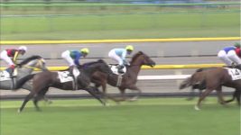 【競馬】エイシンフラッシュの日本ダービー、言うほど糞か？