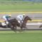 【競馬】エイシンフラッシュの日本ダービー、言うほど糞か？