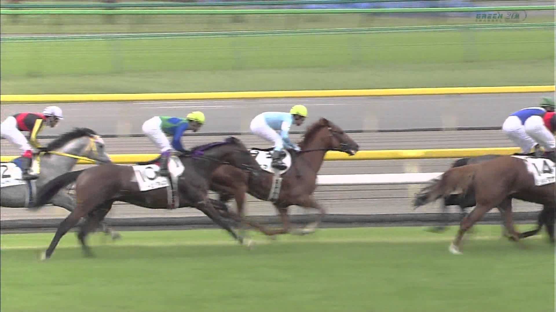 【競馬】エイシンフラッシュの日本ダービー、言うほど糞か？