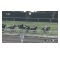 【競馬/弥生賞】オブセッションのレース後コメント「4角で馬がスタート地点の待避所へ逃避しようとしてしまった」ｗｗｗｗｗｗ