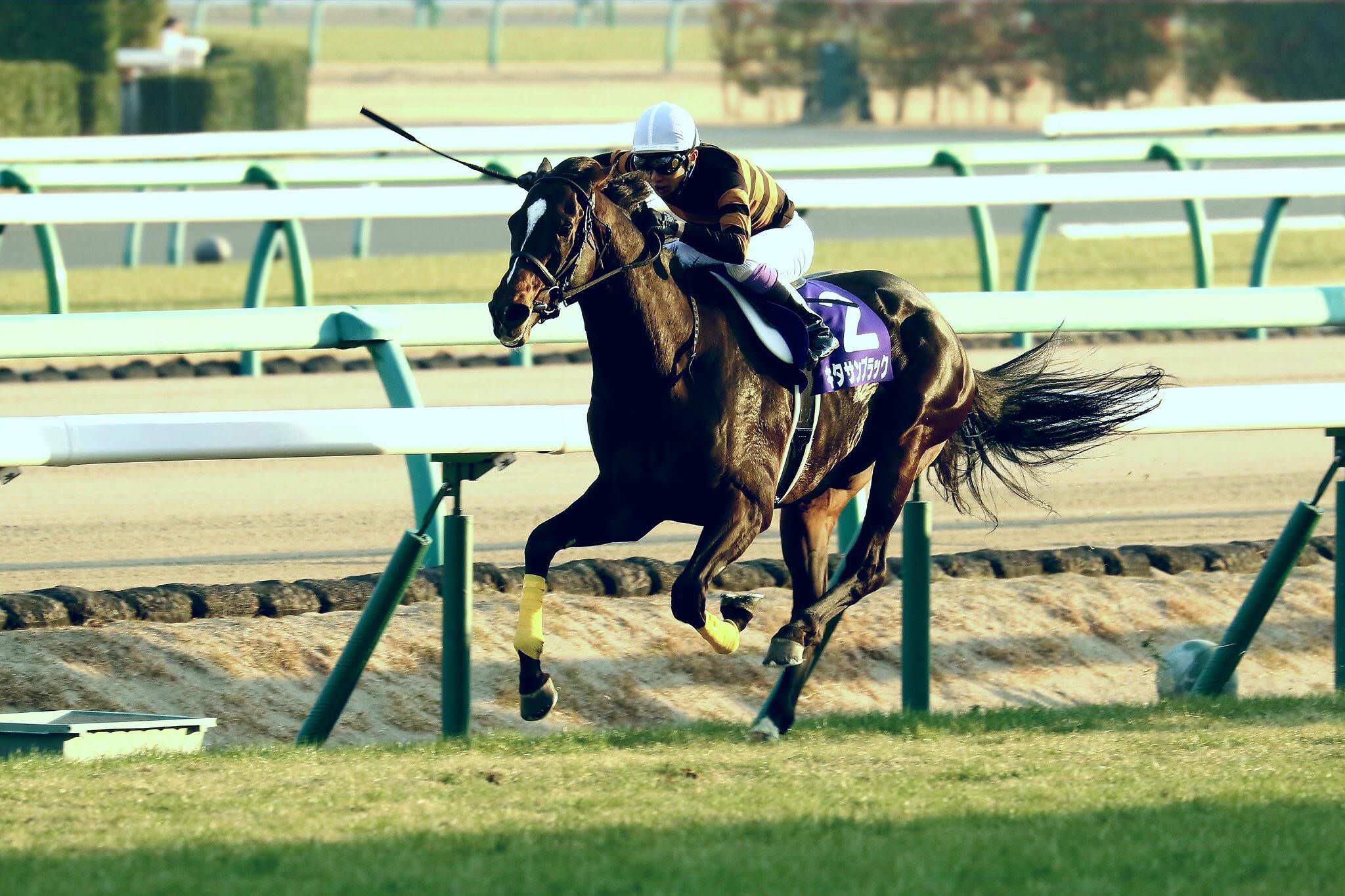 【競馬】武が乗ってた馬はなぜ強くかっこよく感じるのか