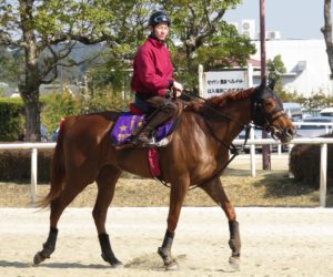【競馬】ラッキーライラックの桜花賞勝ちが確定した模様