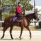 【競馬】ラッキーライラックの桜花賞勝ちが確定した模様
