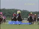 【競馬】松国ローテ(マイルC→ダービー)とは何だったのか 【競馬】松国ローテ(マイルC→ダービー)とは何だったのか