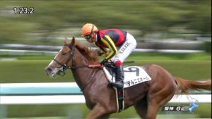 【競馬】三冠馬オルフェーヴルの全妹デルニエオールは池添騎手と再コンビで桜花賞へ