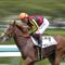 【競馬】三冠馬オルフェーヴルの全妹デルニエオールは池添騎手と再コンビで桜花賞へ