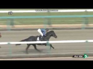 【競馬】ハイランドピークまた圧勝強すぎるwwwwwww 【競馬】ハイランドピークまた圧勝強すぎるwwwwwww