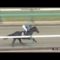 【競馬】ハイランドピークまた圧勝強すぎるwwwwwww