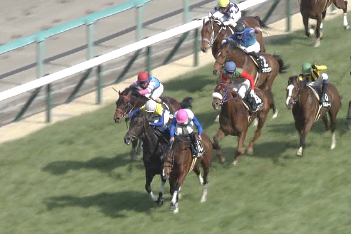 【競馬】アルメリア賞で降着の浜中1日騎乗停止wwwwwwww 【競馬】アルメリア賞で降着の浜中1日騎乗停止wwwwwwww