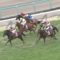 【競馬】エポカドーロ引退、今後は未定→種牡馬入り決定