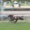 【競馬】ステルヴィオ並みの豪脚が使える３歳馬っていままでにいたか？