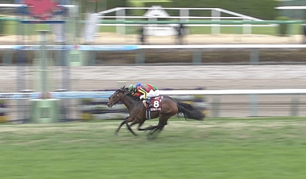 【競馬/スプリングS】ステルヴィオの鬼脚wwwwwww