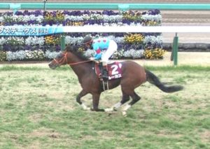【競馬/スプリングS】Mデムさんルーカスを追うのをやめる