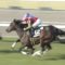 【競馬】牡馬クラシック、もうボロボロ…タイムフライヤー、グレイル、ルーカス、オブセッション‥