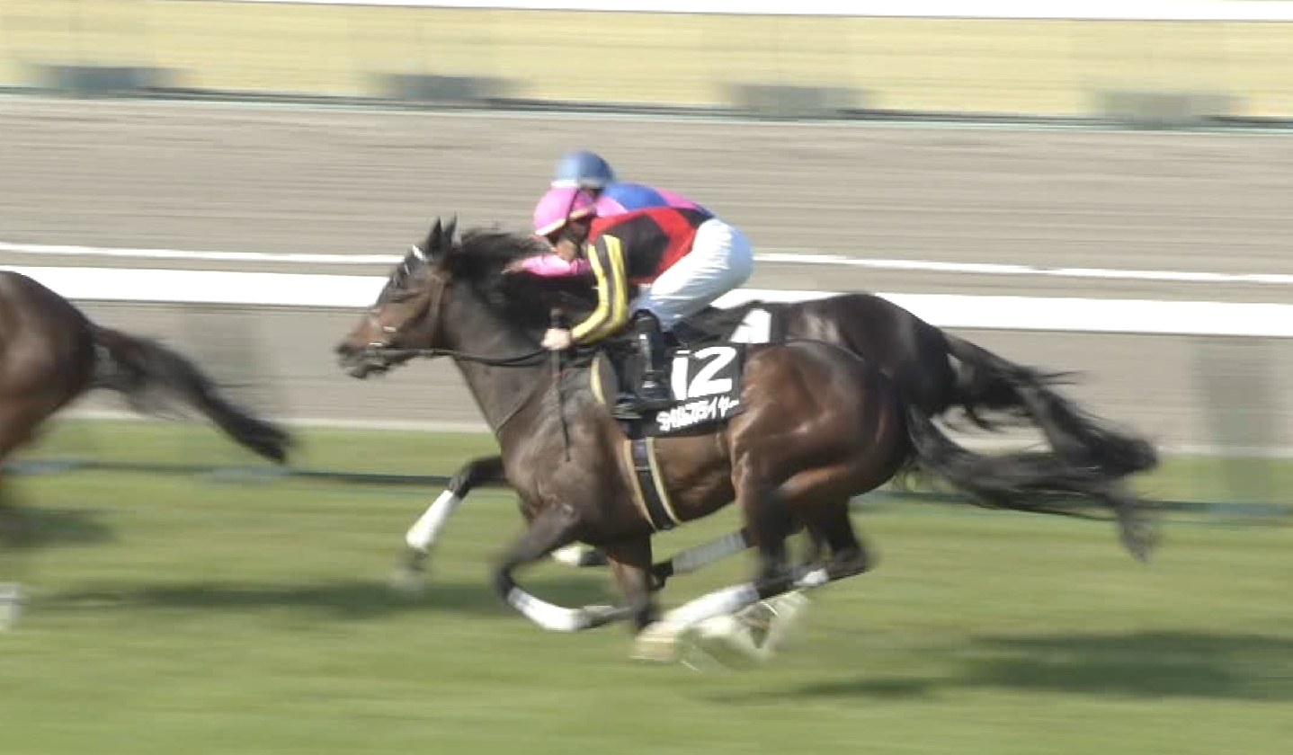 【競馬】タイムフライヤーで30万負けたけどありがとうを言いたい
