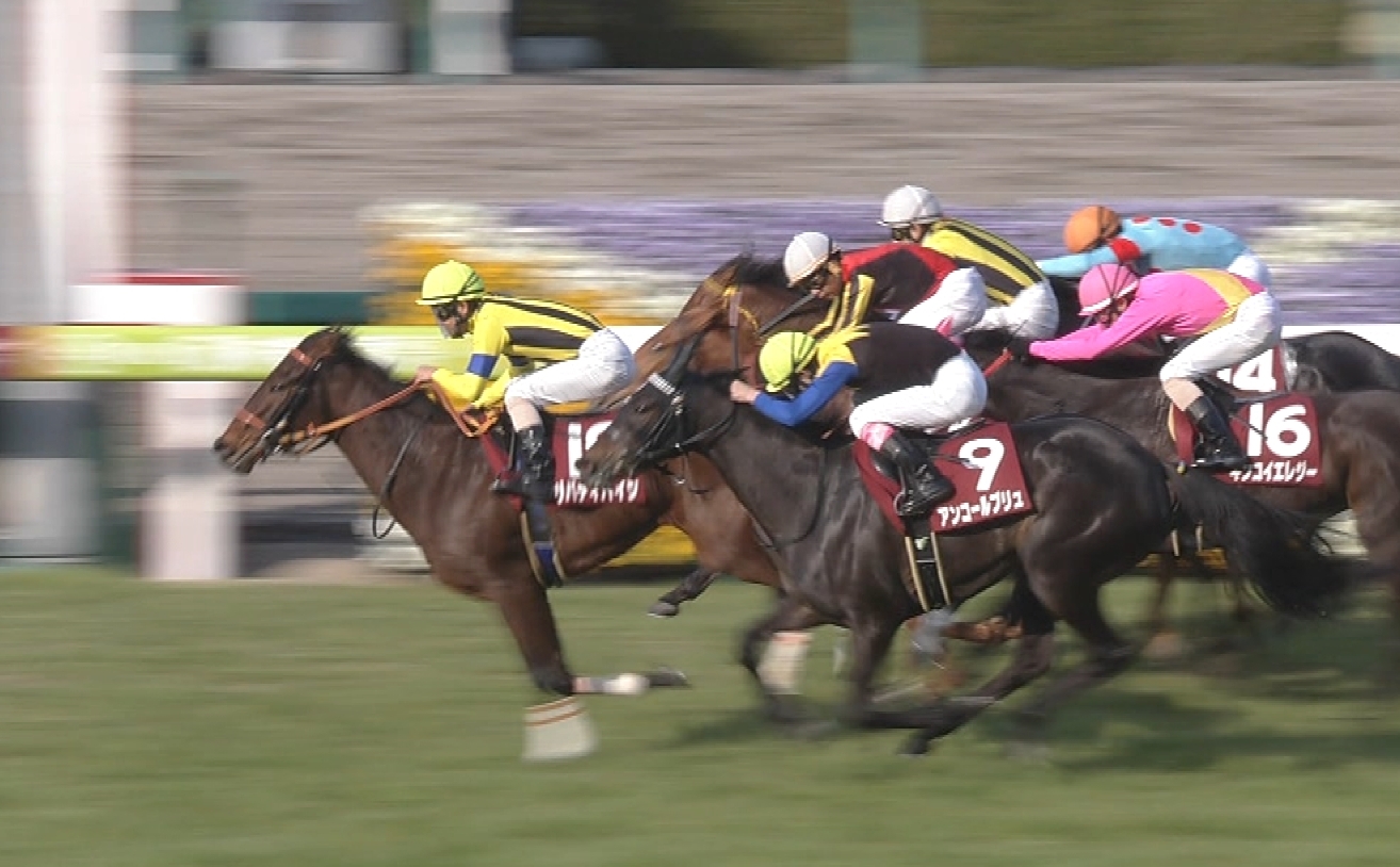 【競馬】岩田立て続けにゴール前の横向き油断騎乗