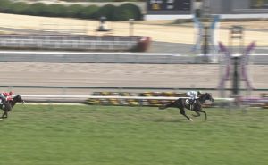 【競馬】ブラックジェイド強すぎ、逃げて圧勝、条件戦連勝