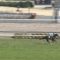【競馬】ブラックジェイド強すぎ、逃げて圧勝、条件戦連勝