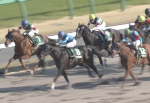 【競馬】ファインニードル優勝の裏でエピカリスさんがひっそりと終わっていた件