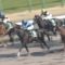 【競馬】ファインニードル優勝の裏でエピカリスさんがひっそりと終わっていた件