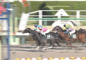【競馬】ミカエルミシェル騎手が元中央重賞馬で南関重賞初挑戦