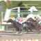 【競馬】ミカエルミシェル騎手が元中央重賞馬で南関重賞初挑戦