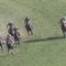 【競馬/青葉賞】オブセッションとはなんだったのか