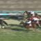 【競馬/弥生賞】ジャンダルムのエアスピネル感ｗｗｗ