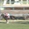【競馬】今年の牡馬クラシックが存外盛り上がってる気がするのはなぜなんだ？