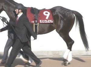 【競馬】ダノンプレミアム　ザ石で皐月賞を回避
