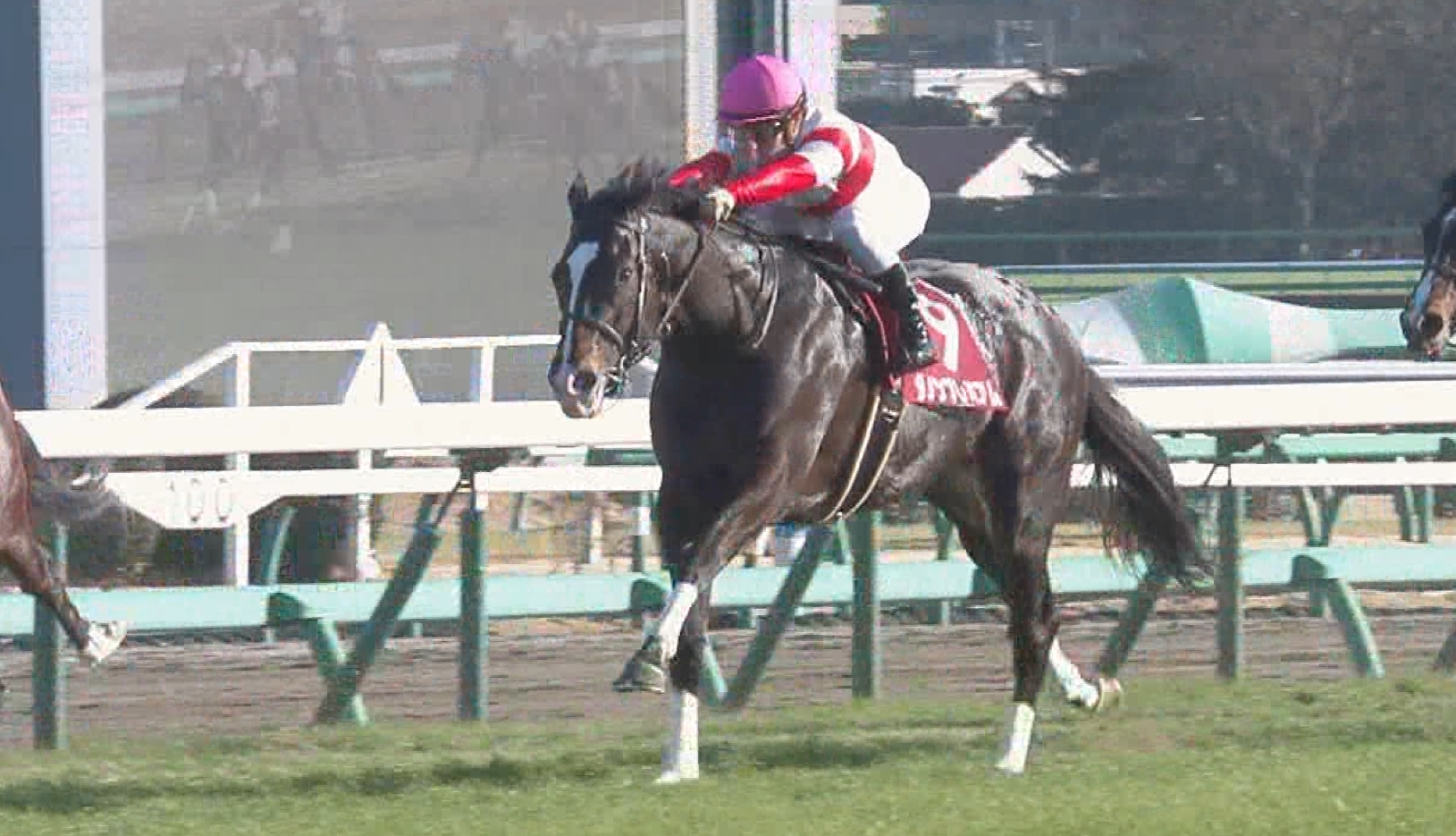 【競馬・天皇賞秋】川田、調教後の会見でもめちゃめちゃ感じ悪い 【競馬・天皇賞秋】川田、調教後の会見でもめちゃめちゃ感じ悪い