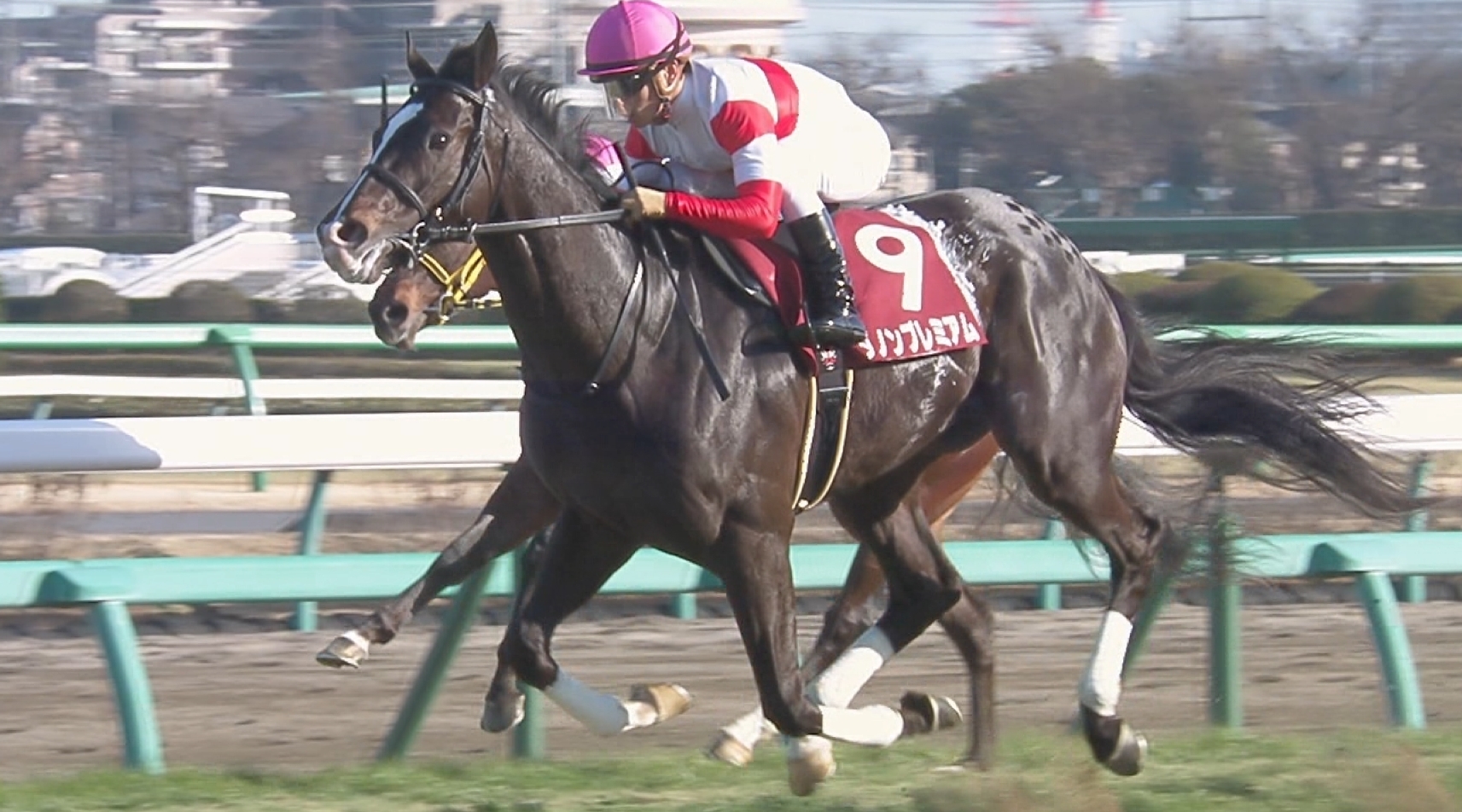 【競馬】皐月賞予想オッズ発表