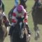 【競馬/安田記念】ダノンプレミアム「いいんだねやっちゃって」