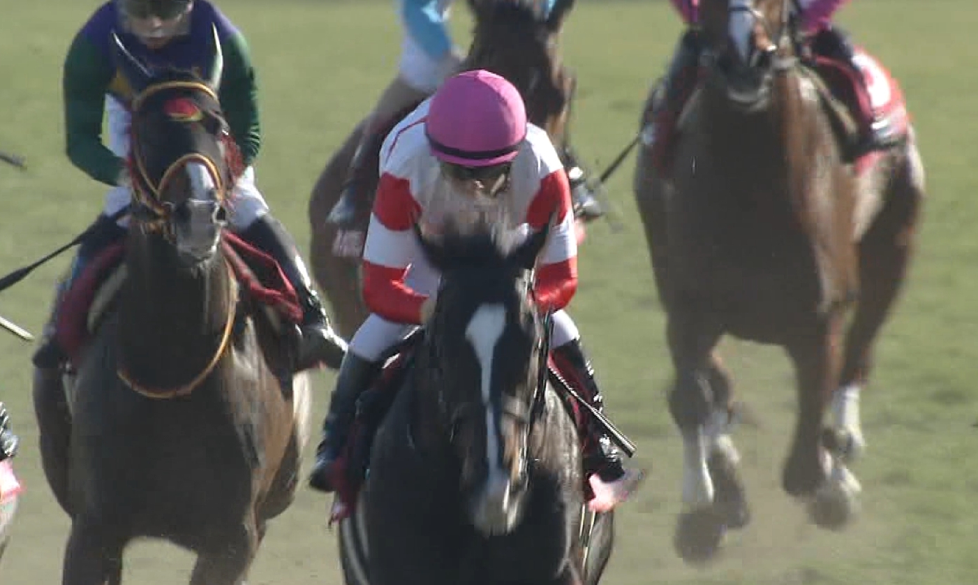 【競馬】欧州メディア「ダノンプレミアムは日本のフランケルだ」