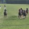 【競馬・弥生賞】中野雷太「そして今大きく遅れて5番のヘヴィータンクが入線...」