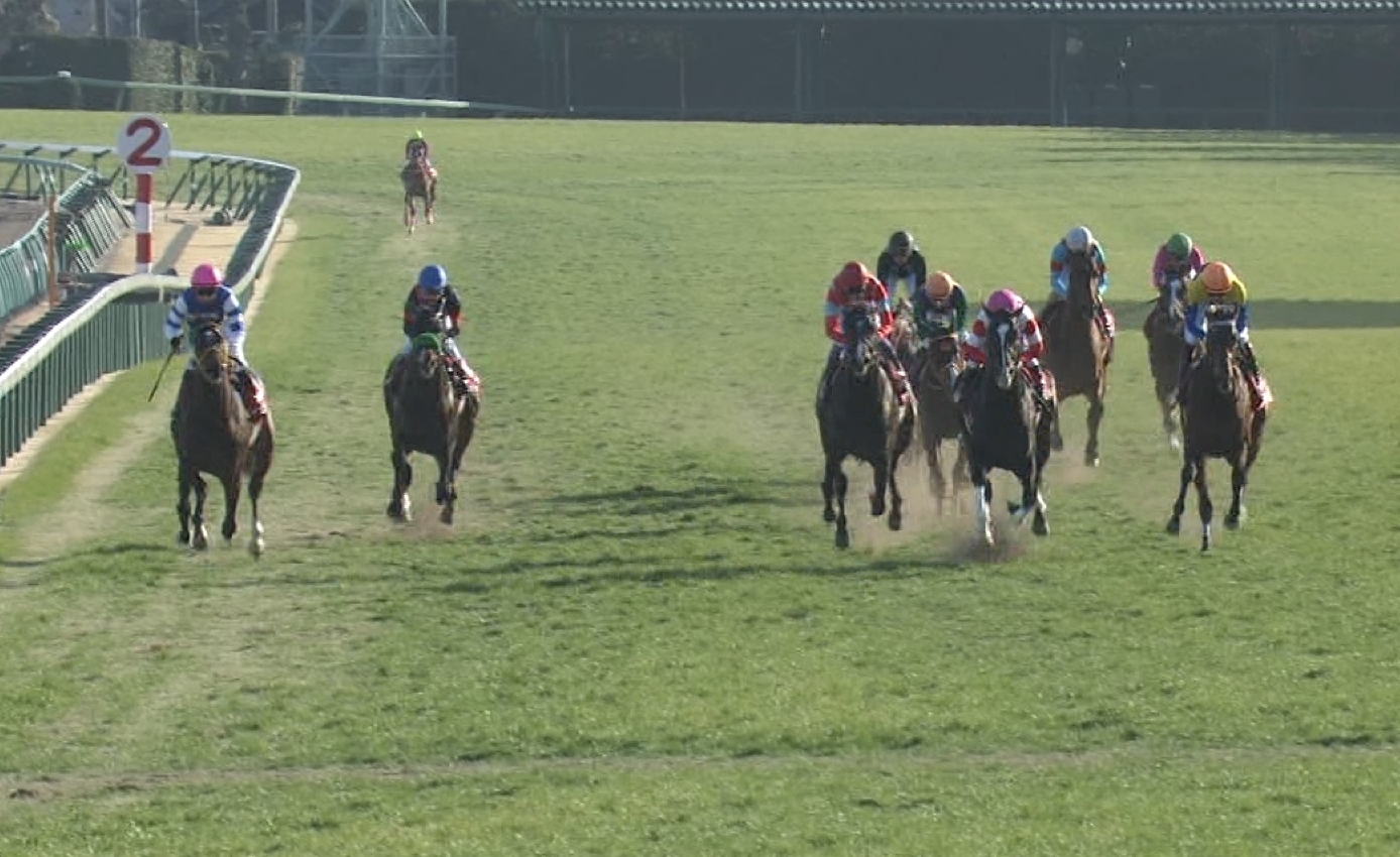 【競馬】ヘヴィータンクさん