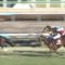【競馬/弥生賞】一番強いの2着ワグネリアンだろこれ