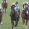 【競馬】藤岡佑介「コラムでホスト役をやると自分が凄いジョッキーみたいに思われて困る(笑)」