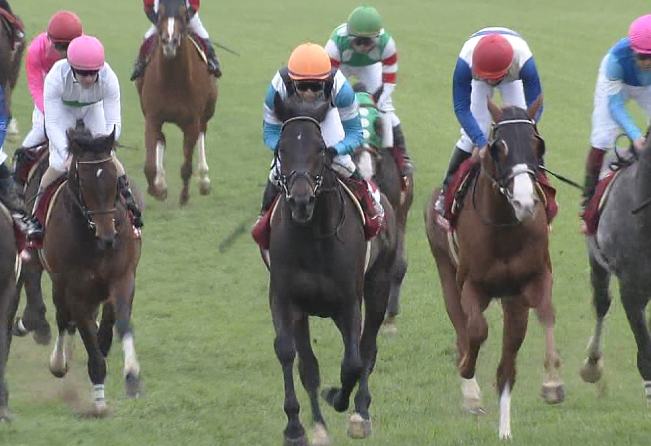 【競馬】ガンコ追ってるものだが一言ええか？