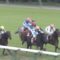 【競馬/有馬記念】どうしてキセキは日経賞で惨敗したの？