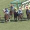 【競馬】ヴァンドギャルドまた賞金加算できず…