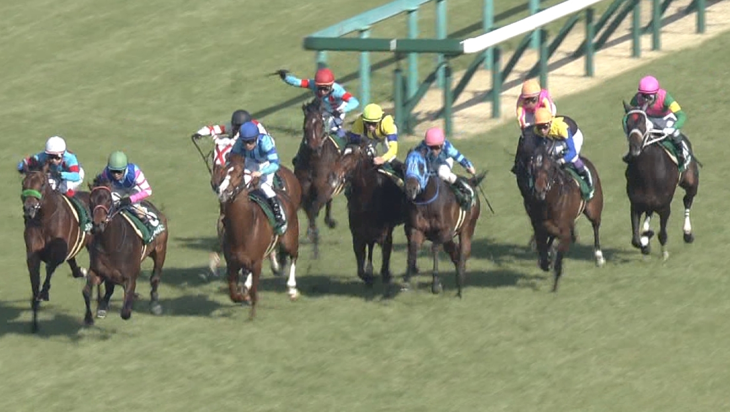 【競馬/毎日杯】岩田インディチャンプの糞騎乗ｗｗｗｗｗｗｗｗ