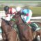 【競馬】ブラストワンピースは新潟記念→菊花賞へ
