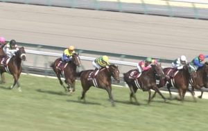 【競馬】金鯱賞の出走予定馬やばいなｗ