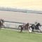 【競馬/金鯱賞】サトノノブレス「ダイヤさん！後は伸びるだけです！」