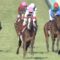【競馬】スワーヴリチャードが安田記念に参戦する理由が分からん